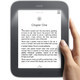 Illustration for article titled Report: Barnes Noble Might Give Up on the Nook (Updated)